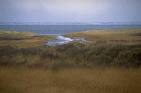 Ameland
