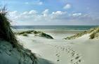 Duinen