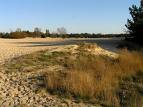 Duinen
