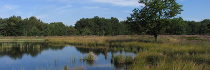 Drenthe natuurgebied