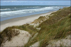 Duinen en strand Vlieland
