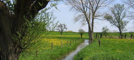Ijssel vallei