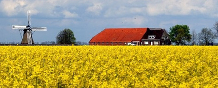 Groningerlandschap