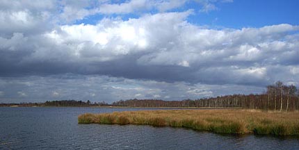 Peel landschap