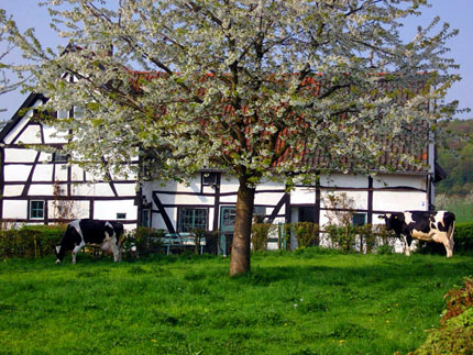 Vakwerkhuis Limburg