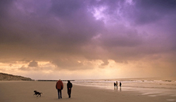 Strand Noord Holland