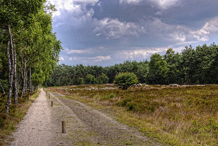 Utrechtse heuvelrug