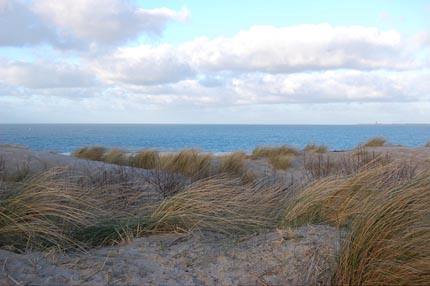Zeeland natuur